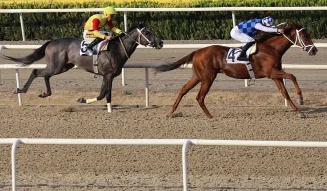 Bursa Büyükşehir Belediye Başkanlığı Koşusu'nda heyecanlı birincilik