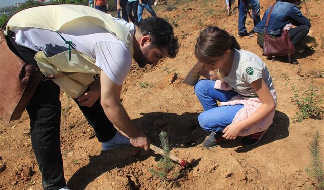 ÇEKÜL, “Yanan alanlarda fidan dikiminde acele edilmemeli”