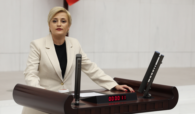 Dilovası’nda Bir Sızıntı Değil, Süregelen Felaket: Perihan Koca Meclis’e Taşıdı