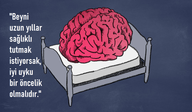 Kötü Uyku Beyni Yaşlandırıyor. Bir Yıl Daha Yaşlı Görünen Beyinler Uykusuzluktan Kaynaklanıyor