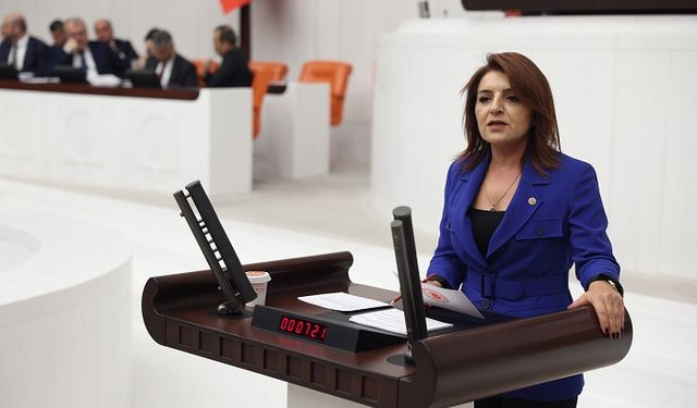 CHP'li Gülcan Kış, BİR ASIR ÖNCE YAKILAN O MEŞALE, BUGÜN DE YOLUMUZU AYDINLATIYOR