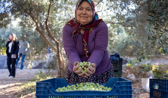 TARLADA İZİ OLAN KADINLARIN BÜYÜKŞEHİR İLE YÜZÜ GÜLÜYOR