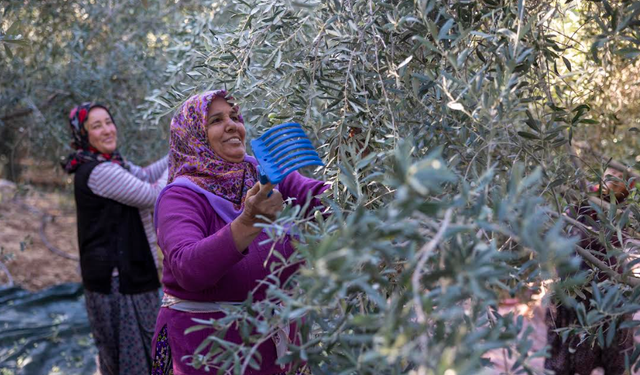 MERSİN BÜYÜKŞEHİR’İN FİDAN DESTEKLERİ MEYVESİNİ VERİYOR