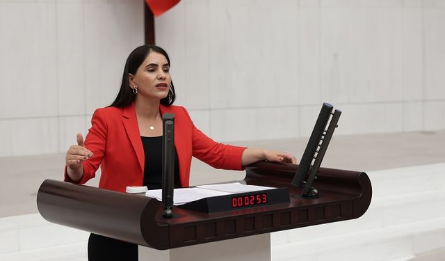 DEM Parti Şırnak Milletvekili Nevroz Uysal Aslan’dan Kanun Teklifi: “Herkes için Adalet, Umut ve Barış”