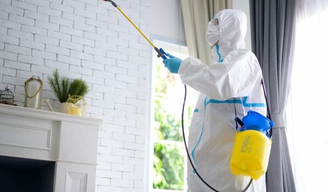 Apartman ve Site Yönetimleri İçin Toplu İlaçlama Stratejisi: Tüm Sezon Konfor İçin Yol Haritası