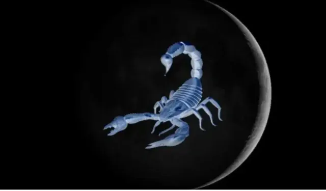 20 Kasım Akrep Yeniayı: Hangi Burç Hayatında Ani Dönüşümler Yaşayacak?