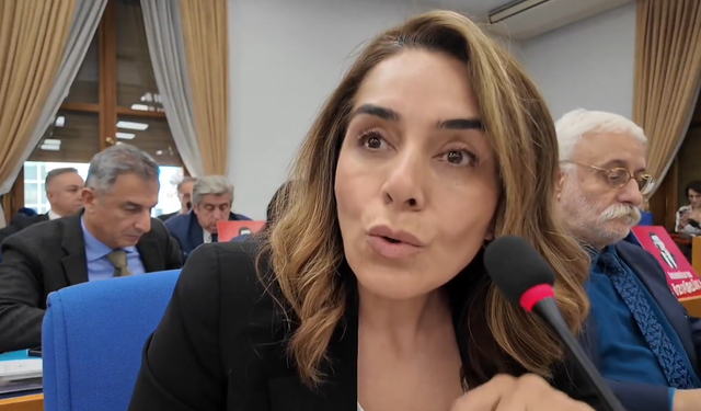 DEM Parti Milletvekili Adalet Kaya’dan İçişleri Bakanı Yerlikaya’ya 6284 Sorusu