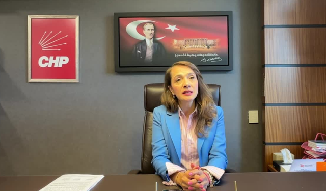 Gamze Akkuş İlgezdi: “2024, kadına yönelik şiddetin en kara yılı; iktidar kadına günde sadece 51 kuruş ayırıyor”