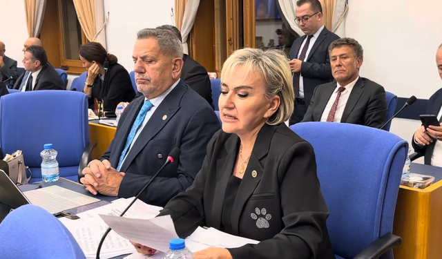 CHP’li Özdemir’den Tarım Bakanı’na Sahipsiz Hayvanlar İçin Sert Soru Yağmuru