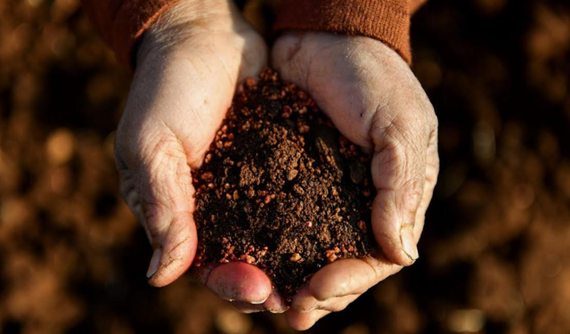 MERSİN BÜYÜKŞEHİR, İKLİM DEĞİŞİKLİĞİ VE YEŞİL DÖNÜŞÜM SÜREÇLERİNE ÖNCELİK VERİYOR