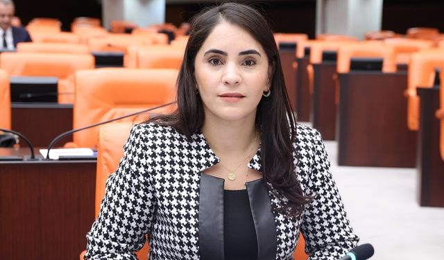 Nevroz Uysal Aslan’dan Aile Bakanlığı’na 11 Soru Önergesi