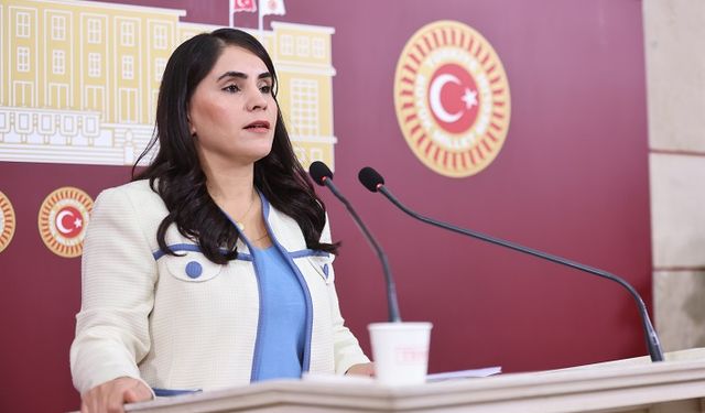 DEM Parti’li Nevroz Uysal Aslan: Beytüşşebap'da “Halkın sağlık hakkı tehlikede”