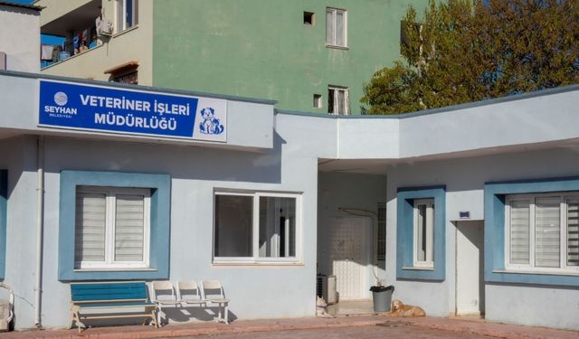 Seyhan Belediyesi’nden Sokak Hayvanları Toplama İddialarına Yanıt: Veteriner Gözetiminde, Uyuşturucu Kullanılmıyor