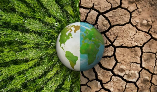 İklim Değişikliği Soframızı Sessizce Değiştiriyor: Daha Çok Kalori, Daha Az Besin!