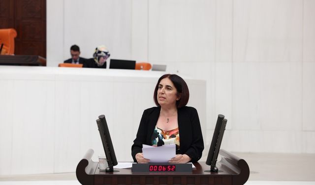 Sevilay Çelenk: İstismar İddiaları Aydınlatılsın