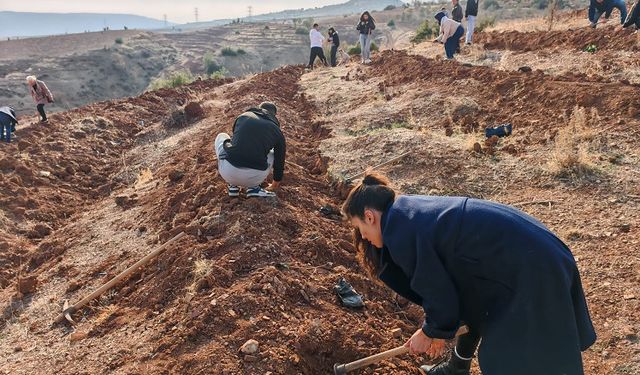 GAÜN Güzel Sanatlar Fakültesi Öğrencilerinden Ağaç Dikme Etkinliği