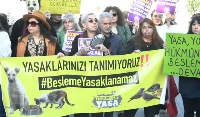İstanbul Valiliği'nin sahipsiz köpeklerin beslenmesine kısıtlama getiren genelgesine 150 avukattan suç duyurusu