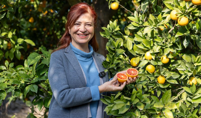 MERSİN KAN PORTAKALI COĞRAFİ İŞARET TESCİLİNİ ALDI
