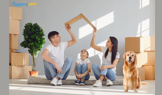 Taşımacım Pet Taksi ve Modern Nakliye Hizmetleri