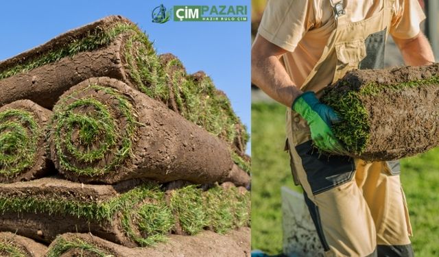 Hazır Rulo Çim Nedir? Nerelerde Kullanılır? Fiyatı Ne Kadar?