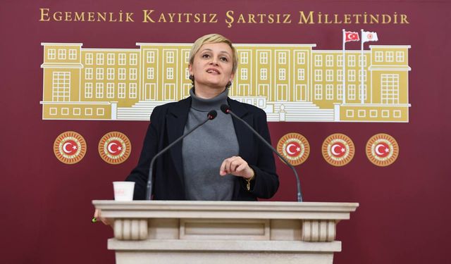 Mersin Milletvekili Perihan Koca: Katliama Karşı Ses Yükseltiyoruz