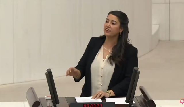 DEM Parti Urfa Milletvekili Dilan Kunt Ayan: “2026’nın İlk Kanun Teklifi Trafik Cezalarıyla Halkın Boğazına Düştü”