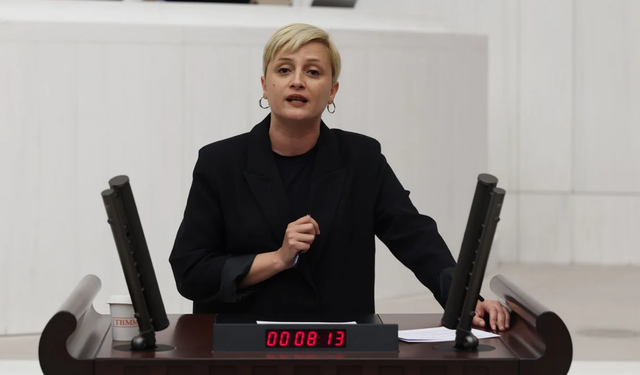 Perihan Koca: HTŞ çeteleri, IŞİD’in Şengal’de Ezidi kadınlara yaptığını bugün Alevi, Kürt ve Dürzi kadınlara yapıyor