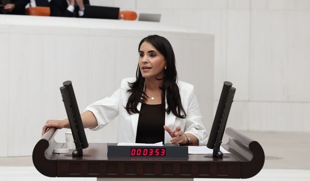 DEM Partili Nevroz Uysal Aslan: Cezaevleri Hukukun Askıya Alındığı Kapalı Rejim Alanlarına Dönüştü