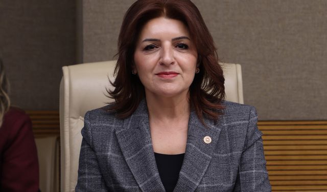 GÜLCAN KIŞ: “BU TORBA YASA YEREL YÖNETİMLERİ SARAY İZNİNE BAĞLAMA GİRİŞİMİDİR”