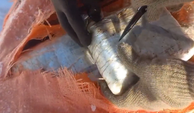 Hakkari’de 348 Kilogram Uyuşturucu Ele Geçirildi