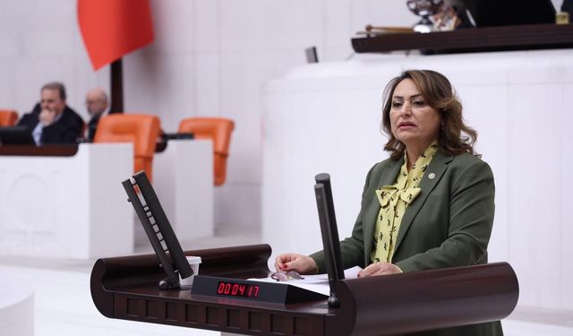 CHP Adana Milletvekili, Dr. Müzeyyen Şevkin “Halkın ihtiyacı varken 20 bin diş hekimi işsiz!”