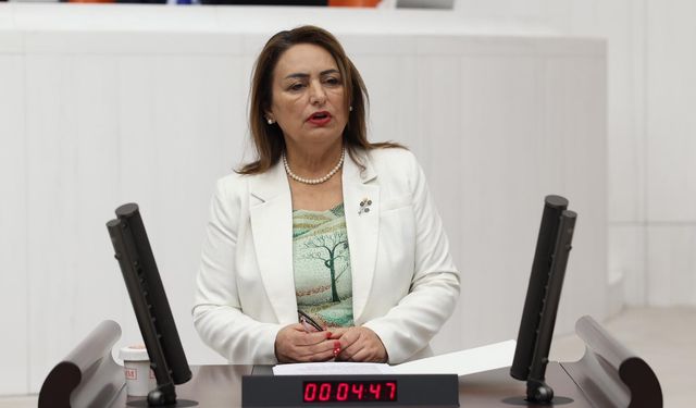 CHP Adana Milletvekili Şevkin: Üretim Çarkı Durdu, Çiftçi Şokta