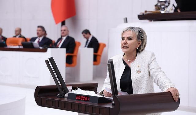 Özdemir'den Trafik Cezaları Görüşülürken Vicdan Vurgusu: “Sorun Bütçede Değil, Vicdanda”