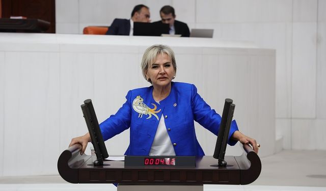 CHP’li Özdemir Ankara’daki gece kulübü operasyonunu Meclis Gündemine Taşıdı