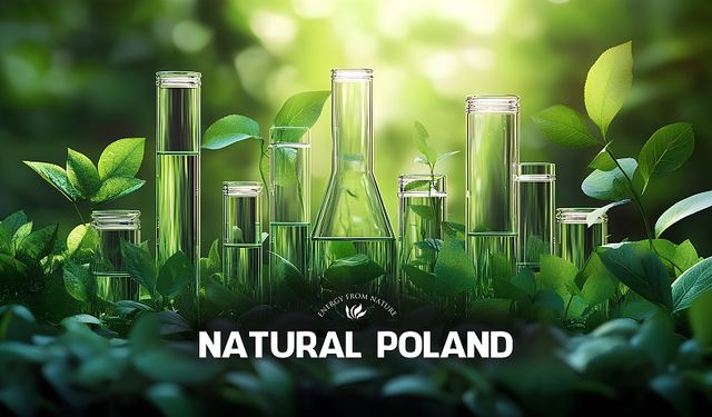 Doğal Ham Maddelerde Güvenilir Tedarikçi: Natural Poland ile Sanayi Çözümleri
