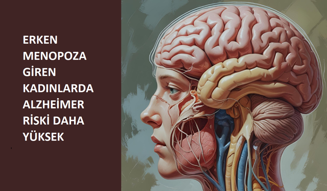 Menopozdan Alzheimer’a: Hormonlar Beyni Nasıl Koruyabilir?