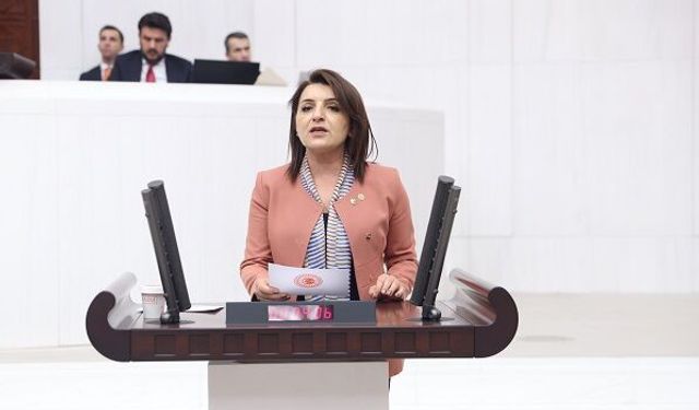 CHP’li Gülcan Kış: “Mersin Limanı’ndaki taşeron düzeni açık bir sendika düşmanlığıdır”