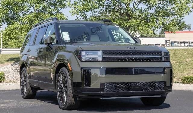 Aydın Hyundai Servis Hizmetlerinde Profesyonel Çözümler