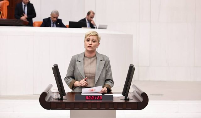 DEM Parti Mersin Milletvekili Perihan Koca: “Fuhuş Otelleri ve Organize Suç Ağları Örtbas mı Ediliyor?”