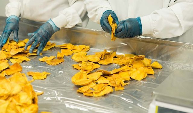 Adana ve Hatay’daki KOBİ’lere 250 Bin TL Geri Ödemesiz Destek