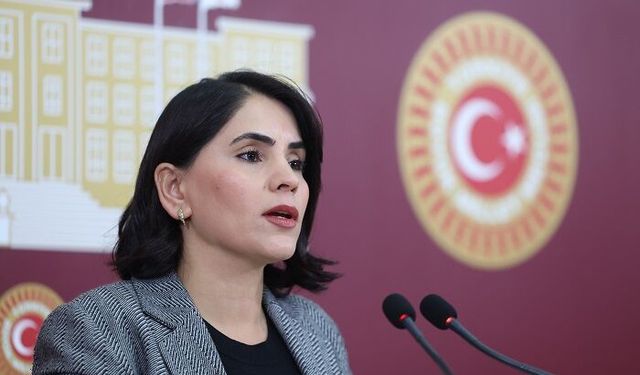 Nevroz Uysal Aslan: “Uludere’de Su Alarmı, Mijîn Kaynağı Kururken Halk Susuz Bırakılıyor”