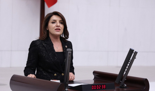 Gülcan Kış, “Bakım Altında Olması Gereken Bir At Sofraya Nasıl Geldi?”