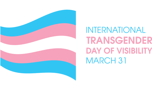 31 Mart Trans Görünürlük Günü: Trans Hakları İçin Ortak Çağrı