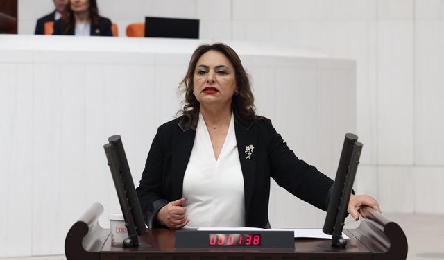 CHP’li Dr. Müzeyyen Şevkin’den “0850 Terörü” İçin Meclis’e Araştırma Çağrısı