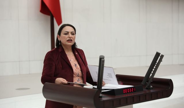 CHP Adana Milletvekili Şevkin, “Kadın sığınmaevi sayısı artmak yerine azalıyor”