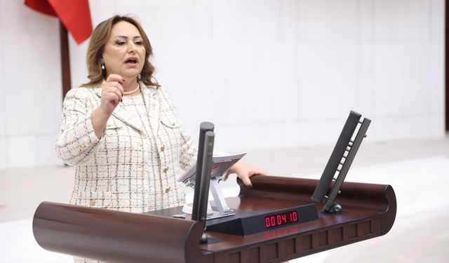 CHP’li Müzeyyen Şevkin’den paylı mülkiyet sorunu için Meclis araştırması çağrısı