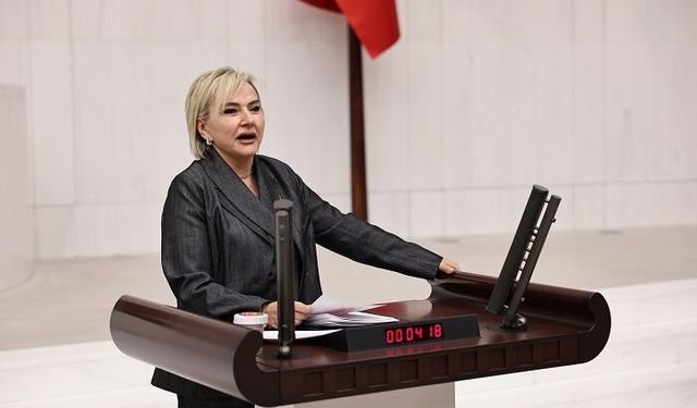 CHP’li Nimet Özdemir: “Toplanan her 3 hayvandan 1’i öldü; bu vicdani bir çöküştür.”