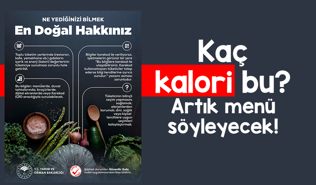 Restoran ve Kafelerde Yeni Dönem: Menüde Alerjen ve Kalori Bilgisi Zorunlu