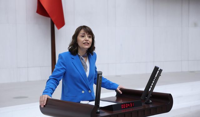 DEM Partili Kezban Konukçu: Eğitimde Şiddet Sistem Krizidir