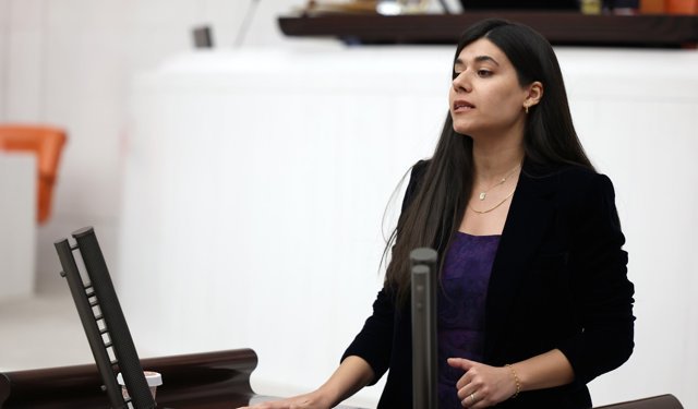Beritan Güneş’ten DEDAŞ iddiası: “Nusaybin’de 400 haneye 12 milyon TL ceza kesildi”